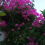 Calm House In Village, Lefkada Semesterbostad *