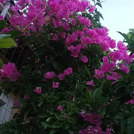 Calm House In Village, Lefkada بيت للعطل *